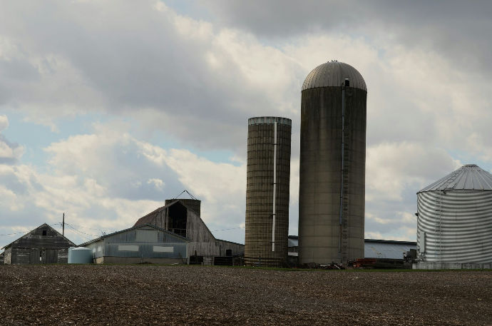 épigeonnage sur site industriel et professionnel